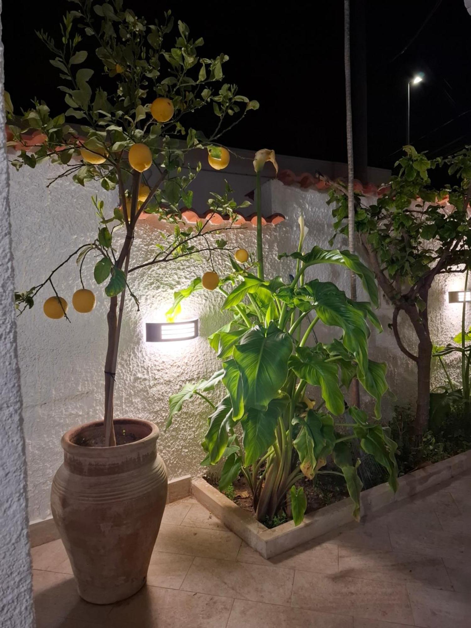 Toluammare Sicily Holiday home Santa Maria Del Focallo